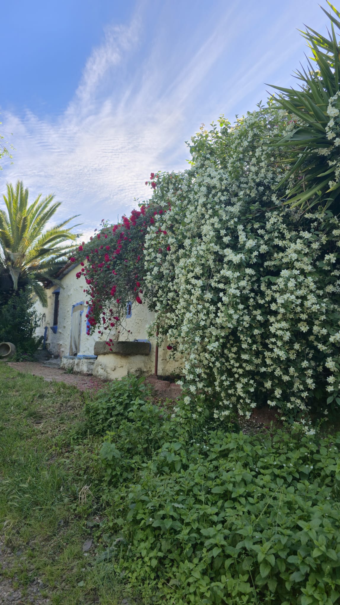 La finca